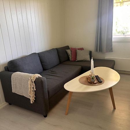 Studio Apartment In The Center Of ألتا المظهر الخارجي الصورة